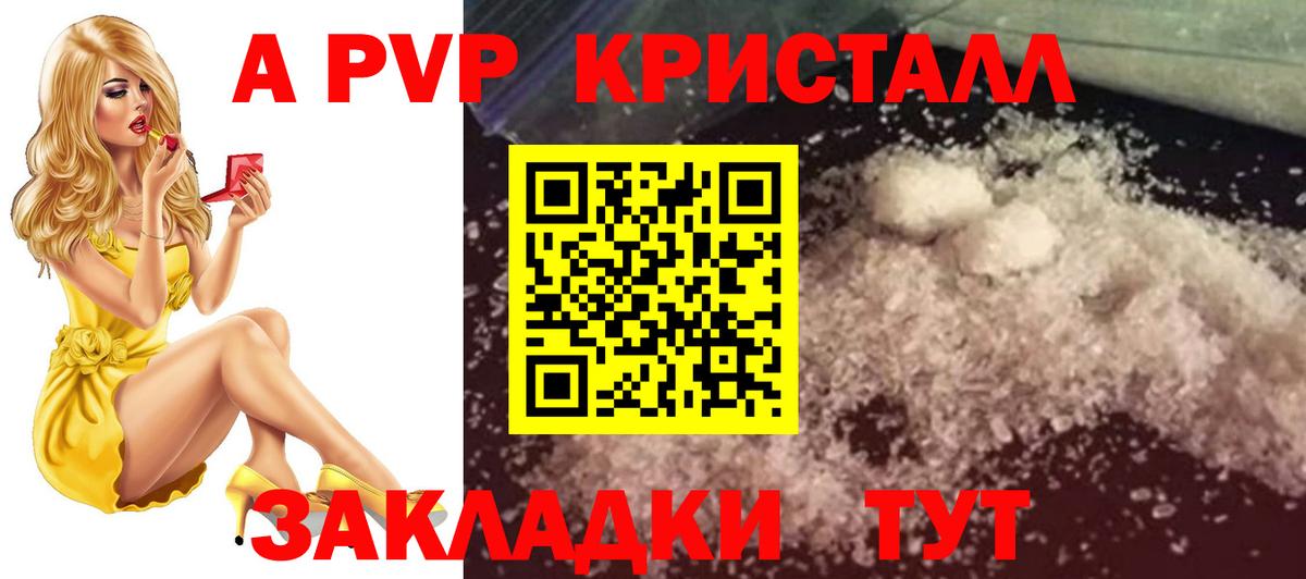 A PVP СК КРИС Новозыбков