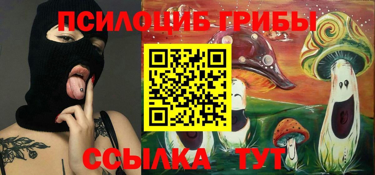 Галлюциногенные грибы Psilocybe Новозыбков