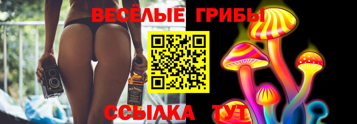 Новозыбков  Псилоцибиновые грибы Magic Shrooms  Вход с VPN 